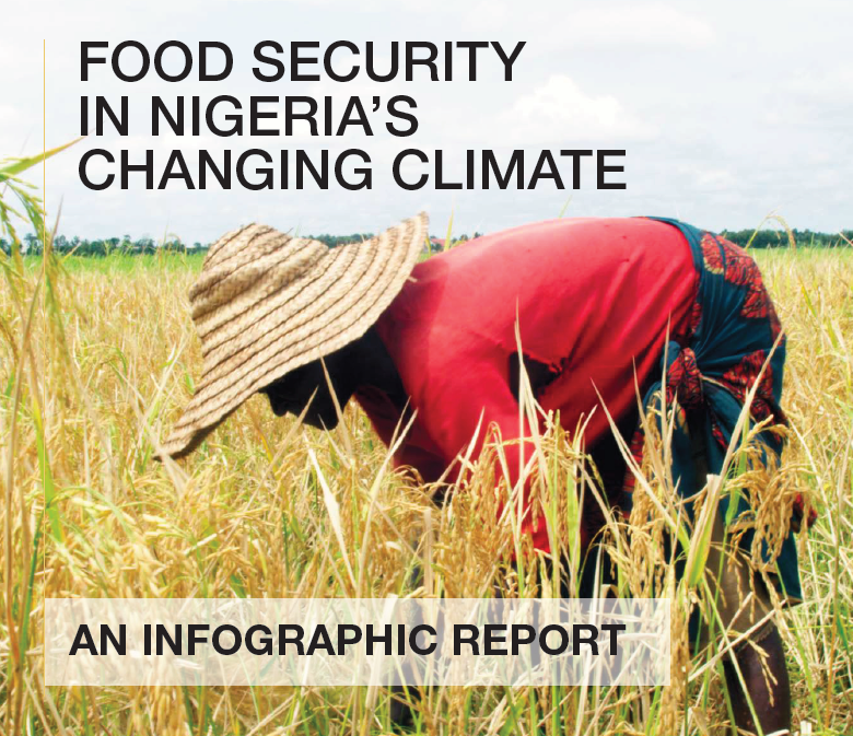 Food Security Infographic Report